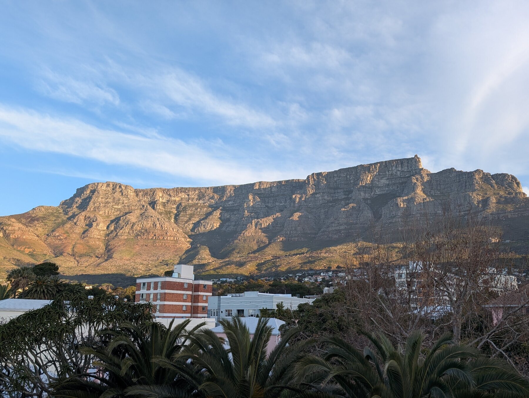 As much as it's in every tourist guide for Cape Town, it's difficult to overestimate how much Table Mountain *looms* over the central district.  We had quite a bit of cloud cover, but one day where the view was perfect.  