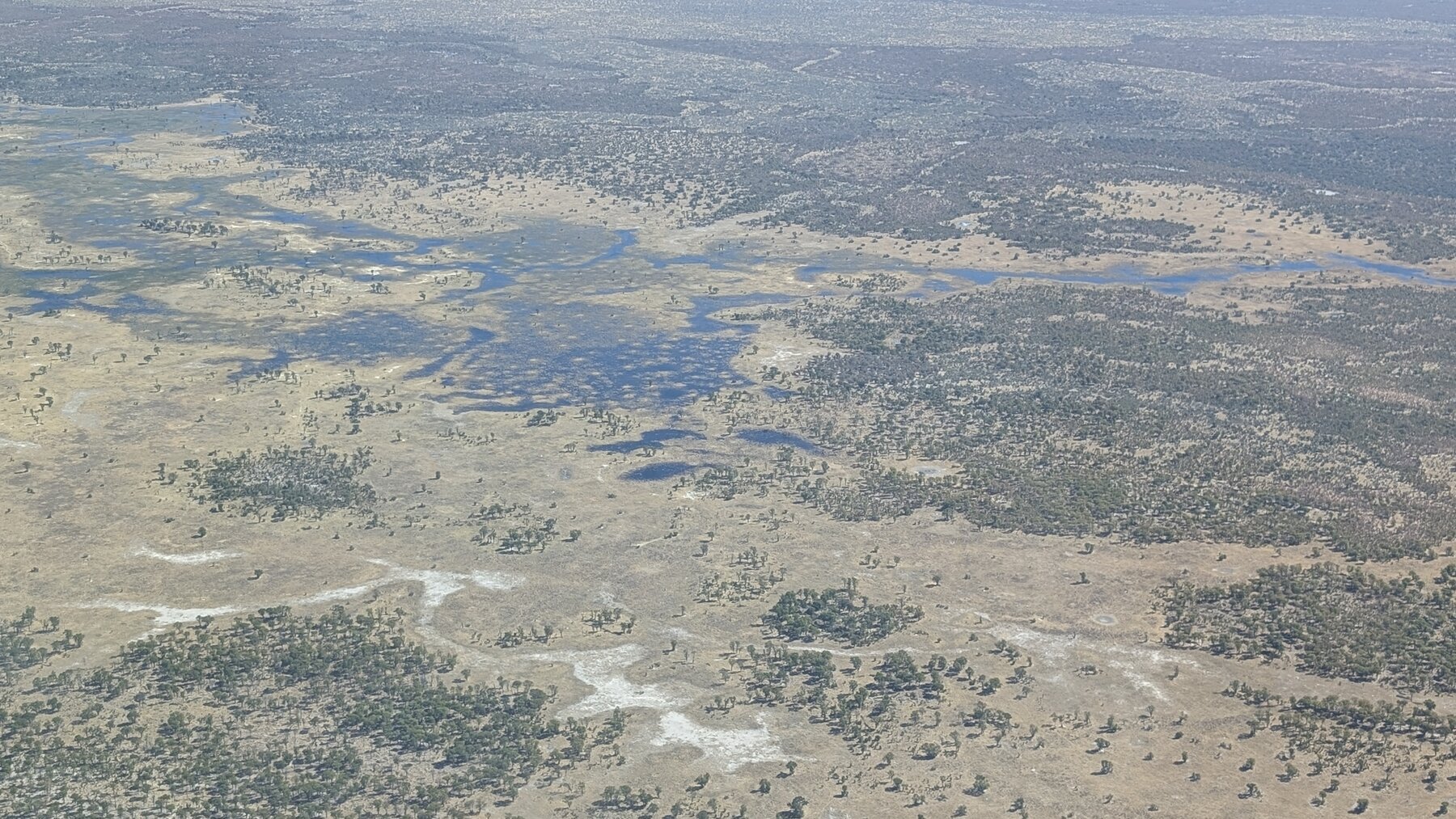 Aerial view of the delta