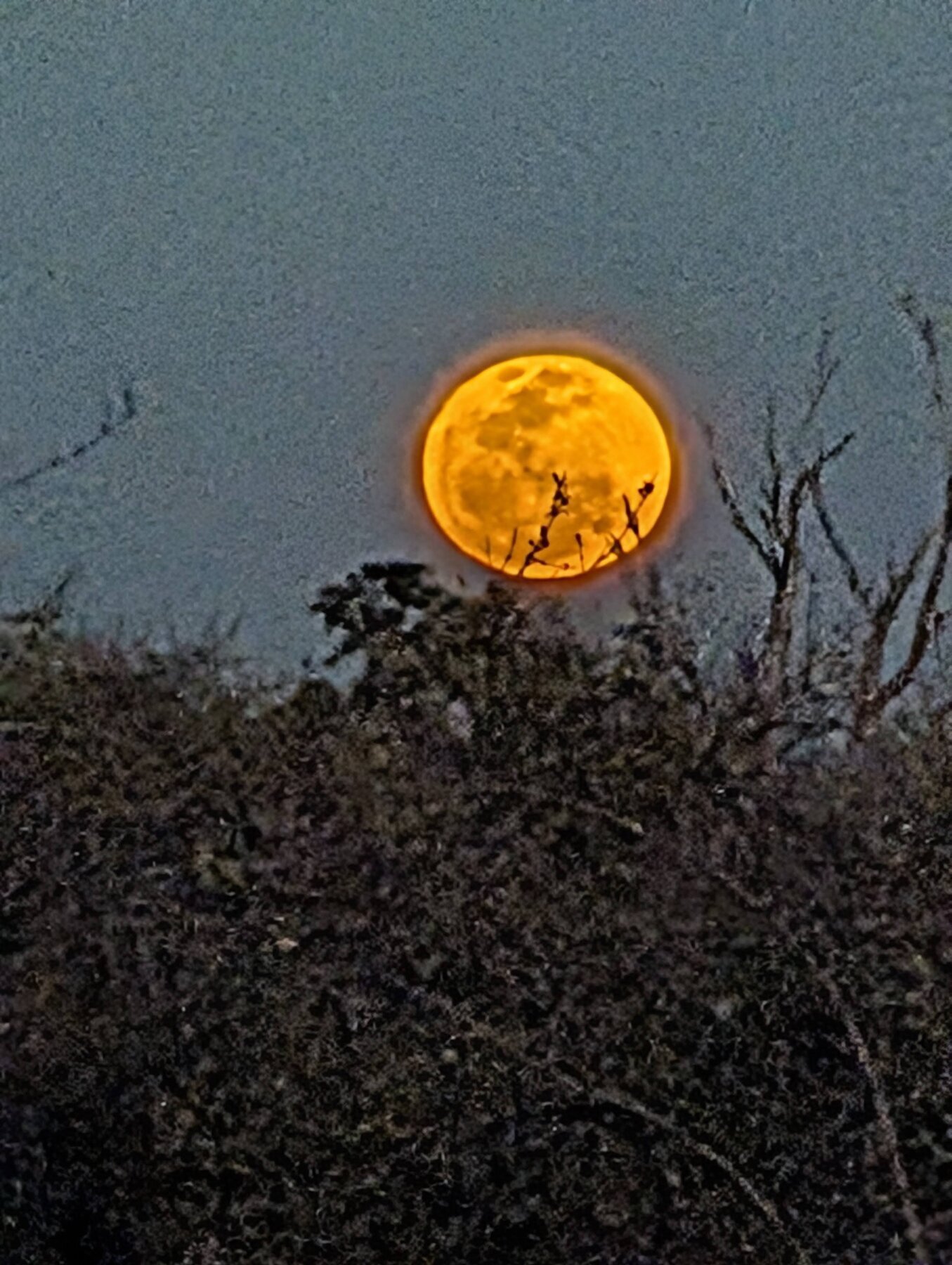 We were very fortunate to time our trip for a full moon.