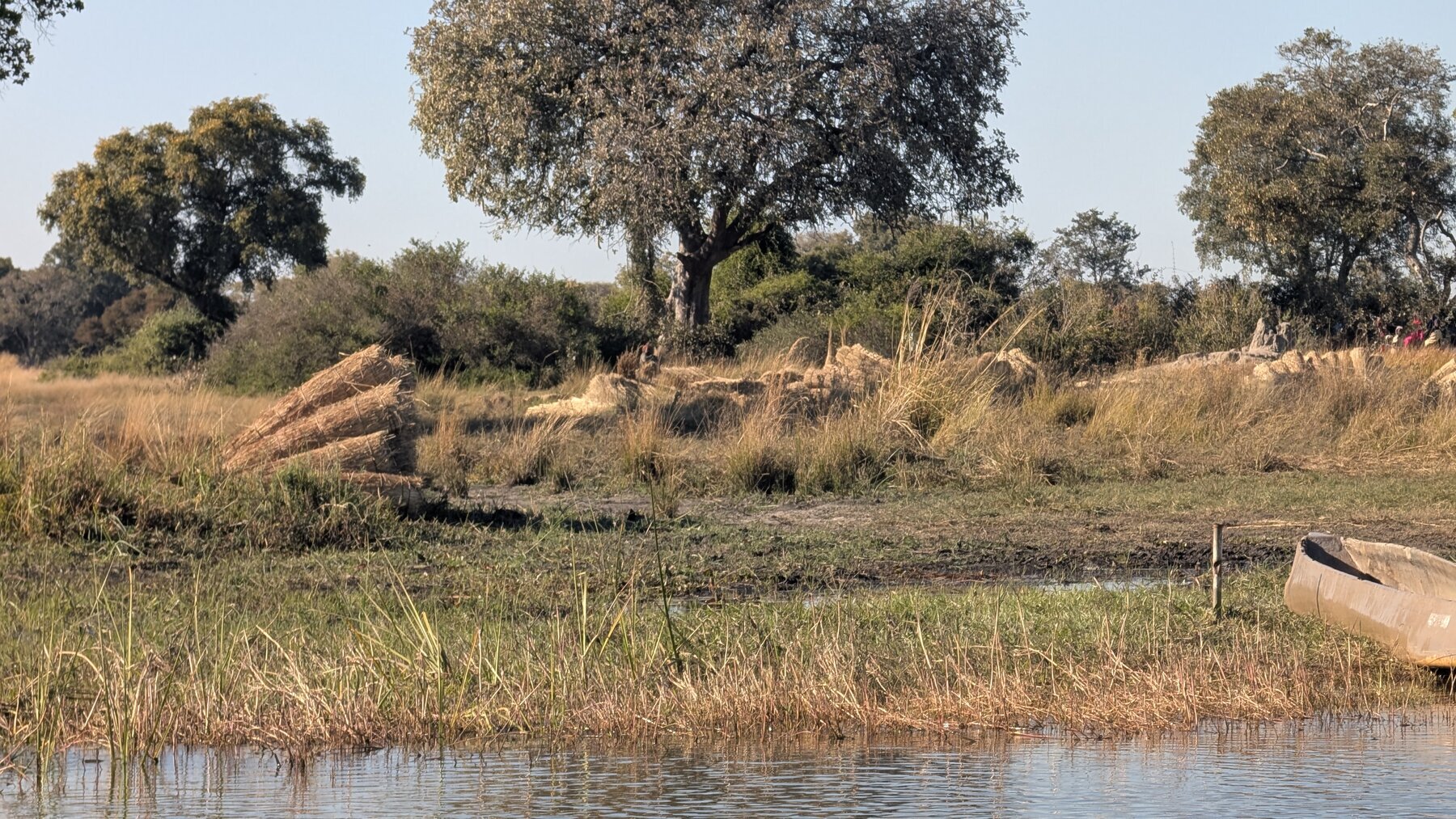 One of us noted they tended to wear extremely bright clothing -- we speculated they prefer to be seen by wildlife so it moves away, the opposite of our goal.