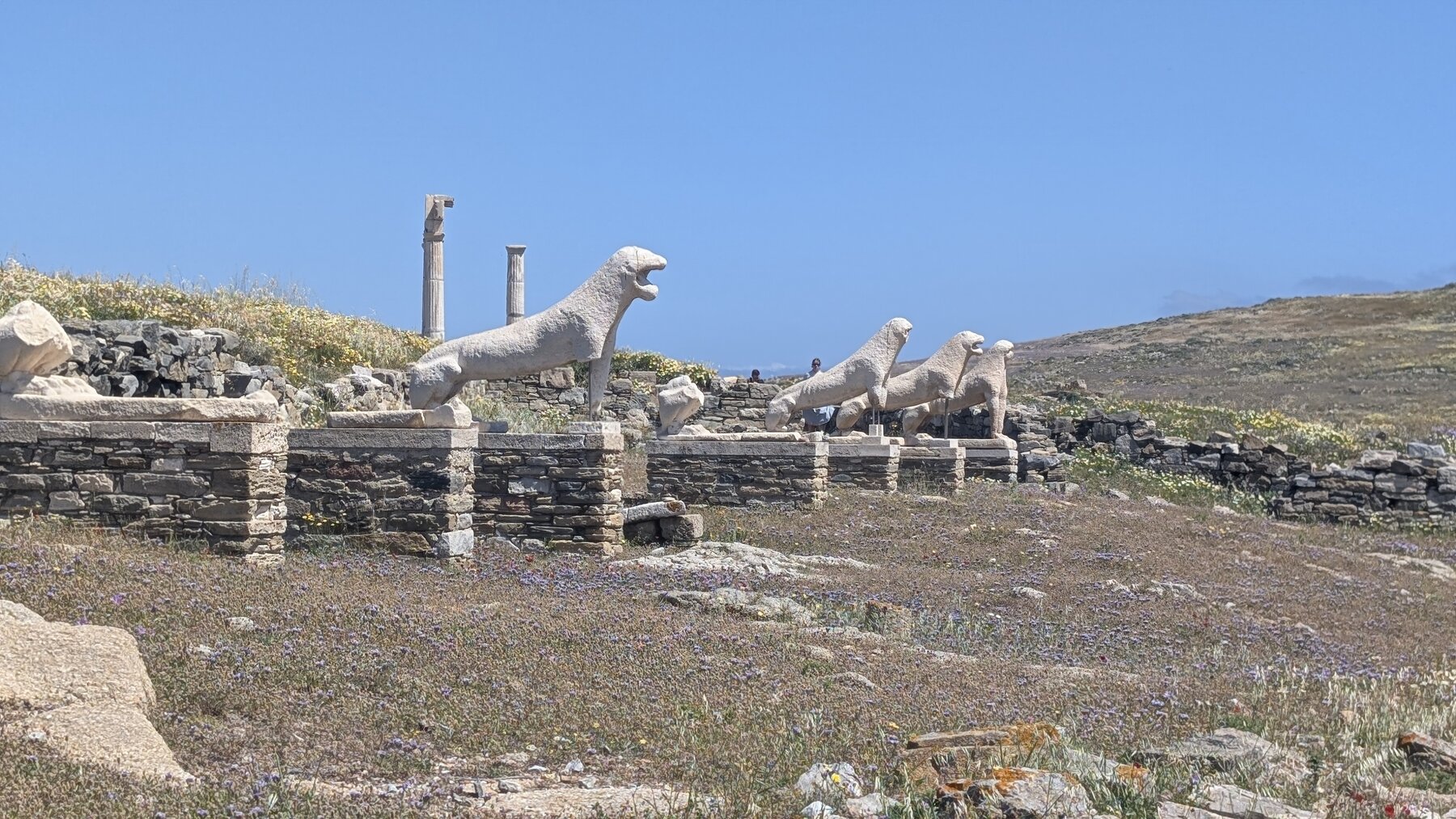 Reproductions of the Delos Lions
