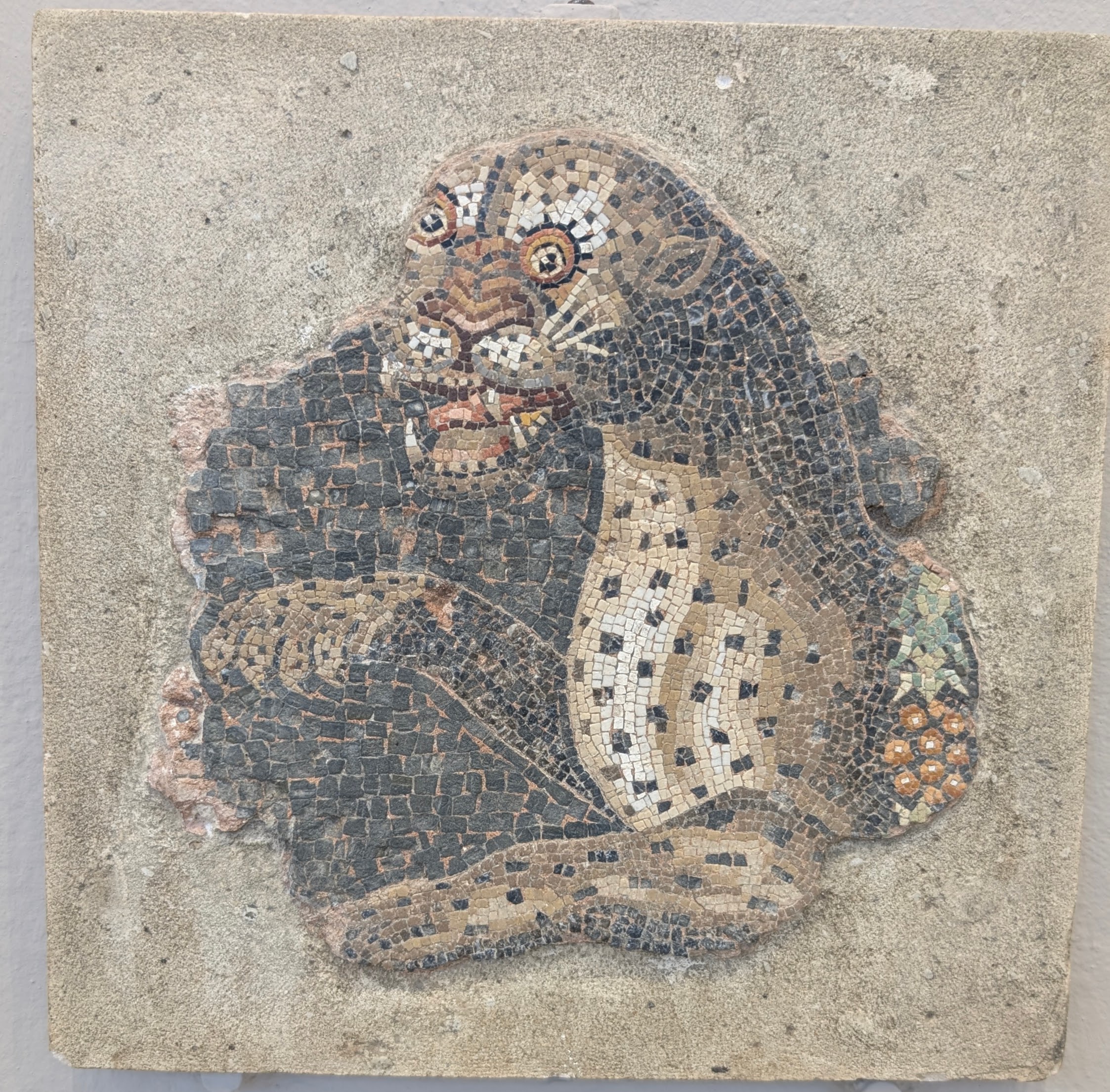 The Panther Mosaic is also preserved indoors.