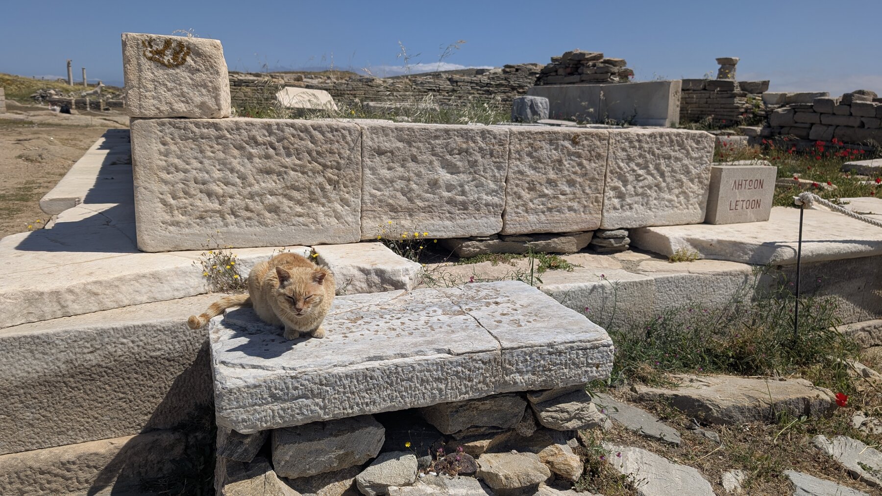 Not every resident left when the island was abandoned.
