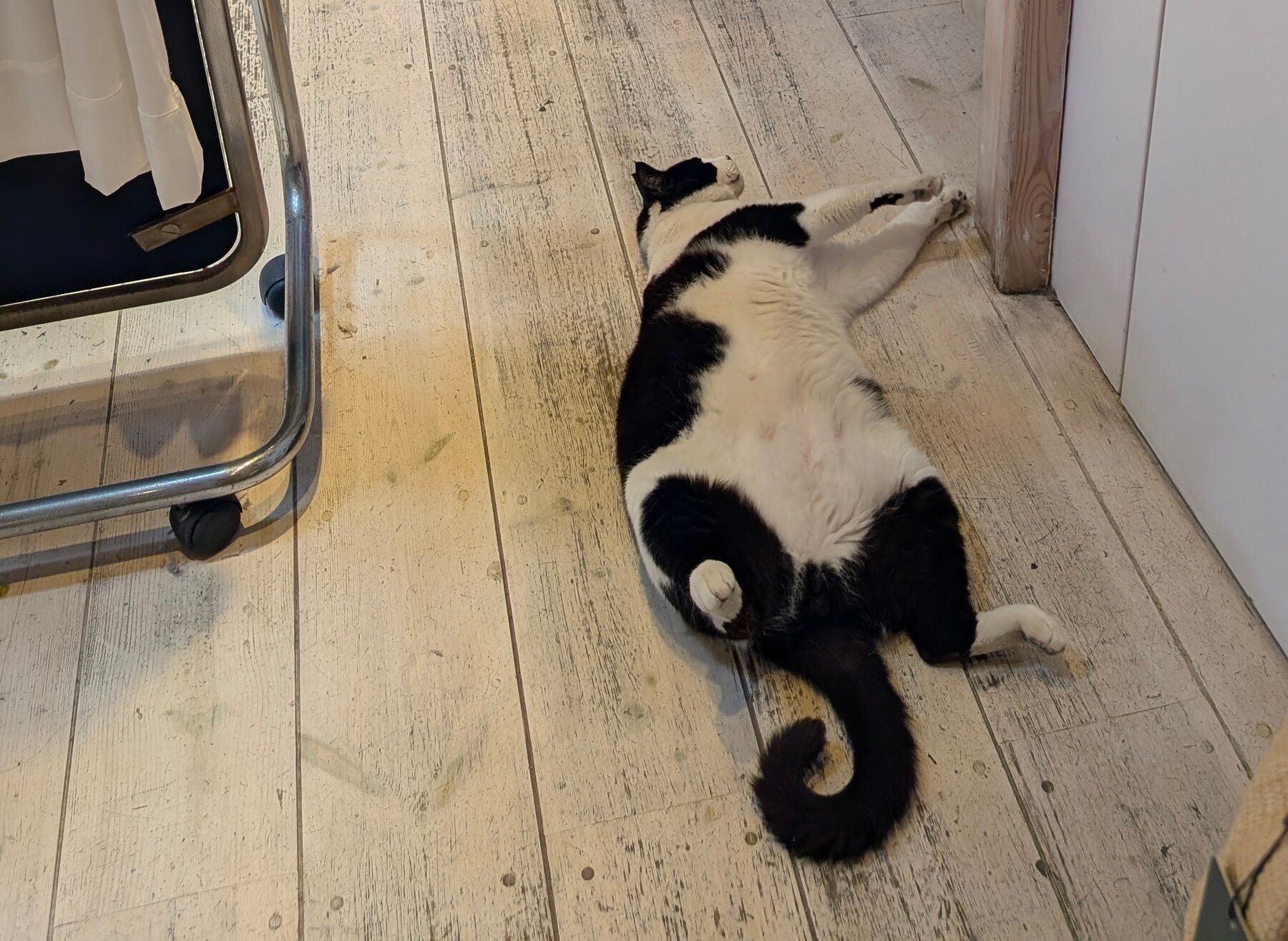 Not all shoppers were equally motivated.