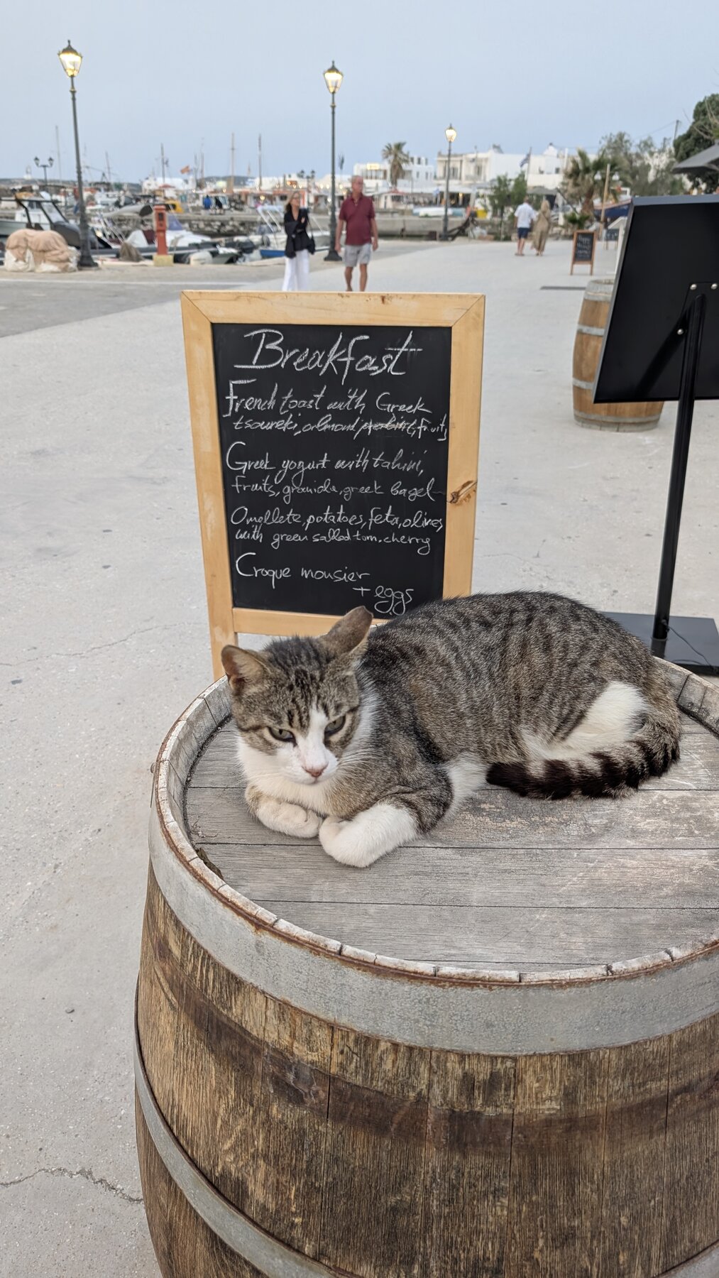 This local resident greeted us every day 