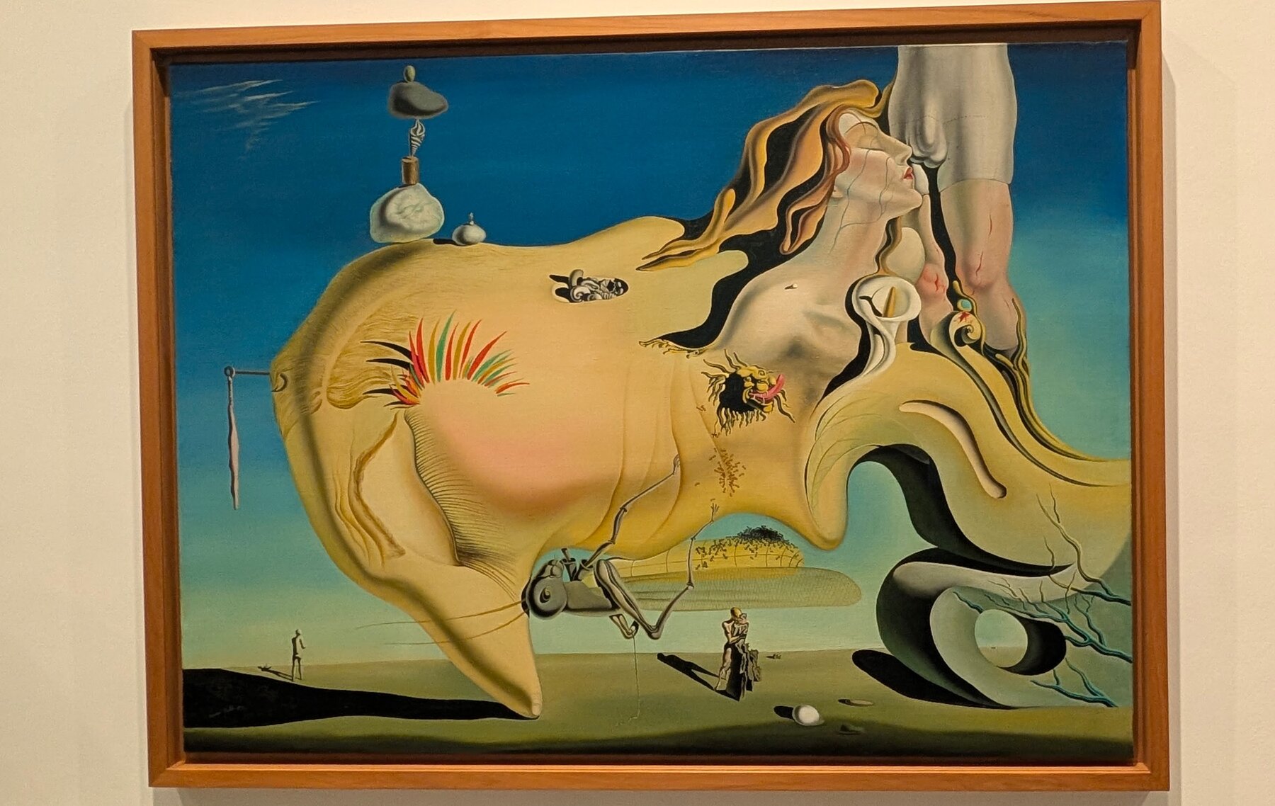 Dali's The Great Masturbator